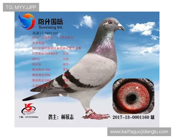 AG国际手机版下载常见问题及解决方案,为玩家提供一站式服务保障和安全保障 AG国际手机版下载常见问题及解决方案,为玩家提供一站式服务保障和安全保障